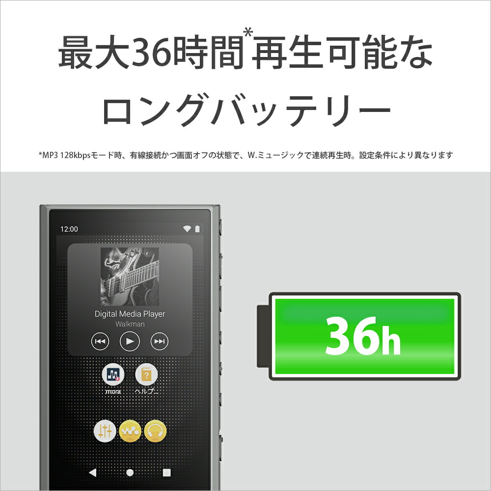 NW-A306 HC グレー SONY ウォークマン【色々付属】 | www.tspea.org