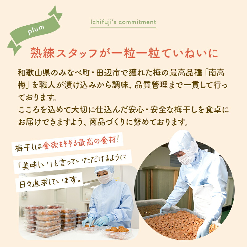 超安い】 梅干し 訳あり つぶれ梅 しそ 塩分8％ 400g 産地直送 和歌山県産 紀州南高梅 梅干 うめぼし 規格外品 しそ梅 qdtek.vn