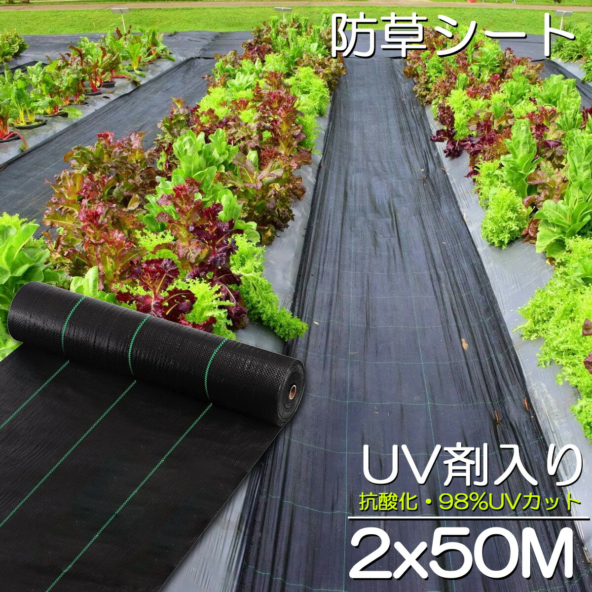 楽天市場】防草シート 50m X 2m 除草シート 園芸用シート 雑草シート