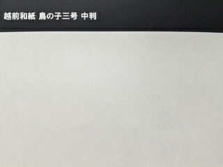 【パールカラーズ】ホルベイン澄み切った水彩画えの具に新続きもの御出座し！