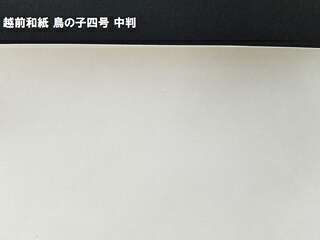 鳥の子紙 4号/98×188ｃｍ 2枚
