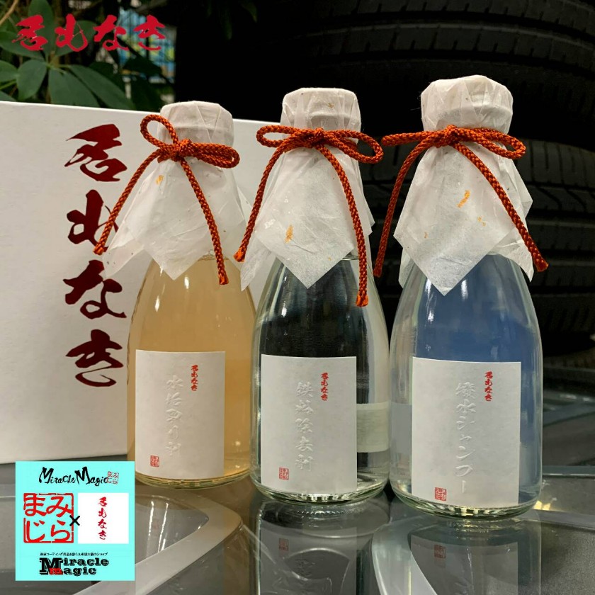 洗車楽々3本セット 撥水シャンプー 水垢取り剤 鉄粉除去剤 洗車 コーティング 下地処理 鉄粉取り 水垢落とし カーシャンプー メンテナンス 洗車セット 名もなき Sermus Es