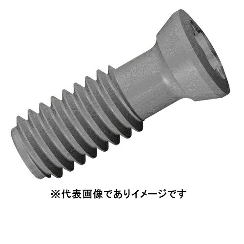 イスカル SR 10503579 部分品 ねじ釘 10個入