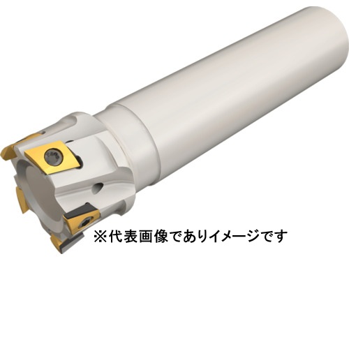 イスカル T290 ELN D25-04-W25-10 スモウミル