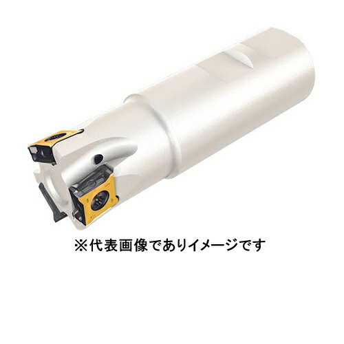 イスカル T890HT ELN D40-4-W32-13 ロジック8タング エンドミル T890HT ELN-13