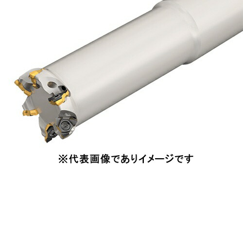 イスカル TR6 ER D20-60-4-C20-07 トロ6粉砕機 心付け取り替えっこ式挙げ句の果て粉砕機 TR6 ER