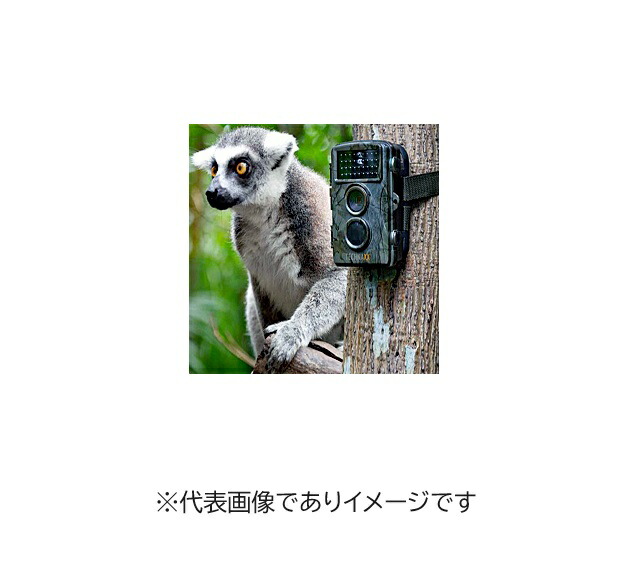 MKサイエンティフィック TX-69 動物・人監視自動カメラ