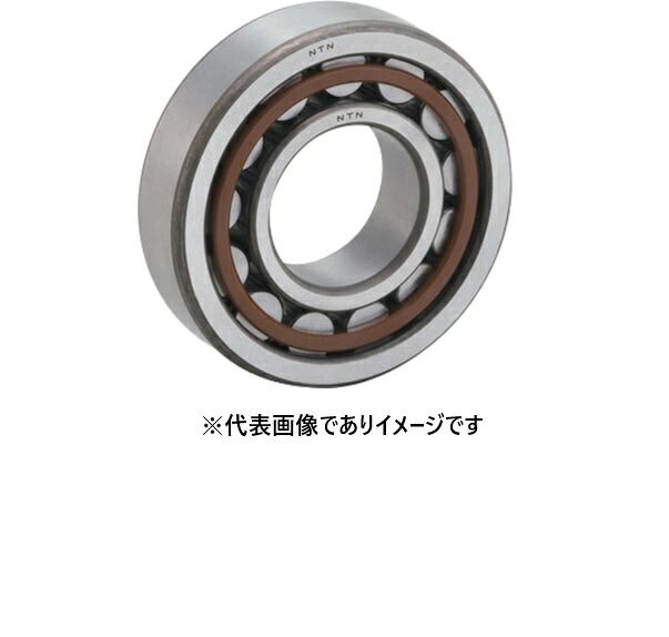 NTN NU1005G1 D 円柱状 NU形 個人的径25粍 端っこ径47粍 幅12粍
