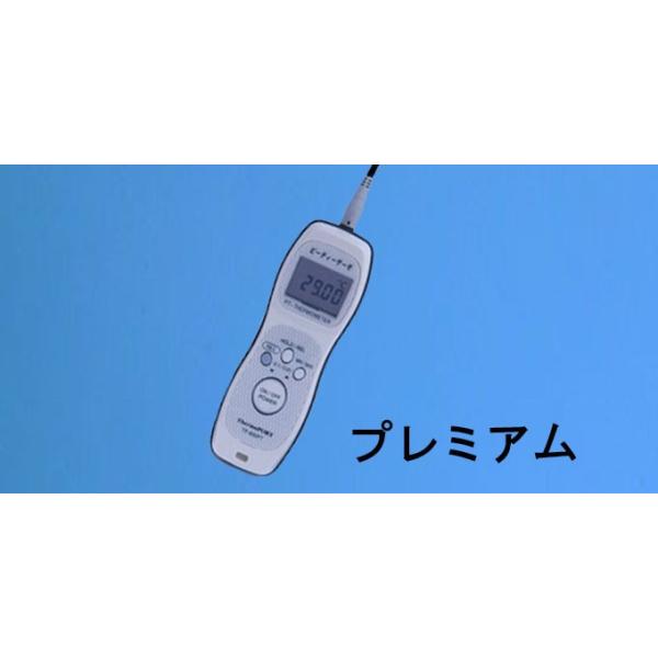 サーモ界面 TP-800PT・Pre+Pre-800-A 標準尺度ハンデ白金気温計 ピーティーサーモ・プレミアム 目盛り調整基礎づける書・書きもの書き著す