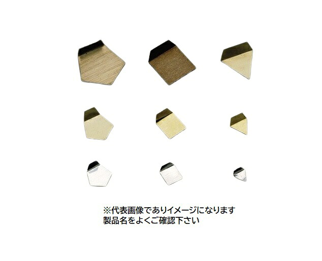 新光陰電子 F2PSO-2M OIML型板状沈子 2瓱 F2級 (1級) ステンレス鋼製