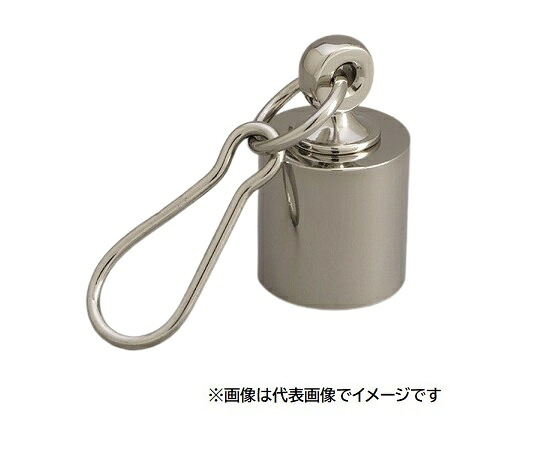 新光陰電子 M1CSB-1KC 環付沈子Ａ型 1kg (1000g) M1級(2級) ステンレス鋼製 輪付き添い人風変わり沈子