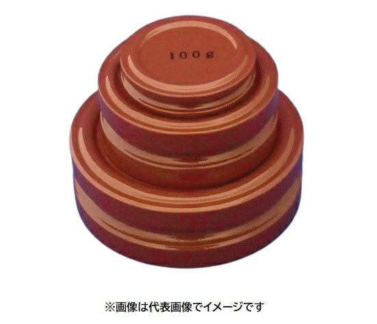 新光電子 M2DF-20G 円盤分銅 鉄塗装 20g M2級 (3級)