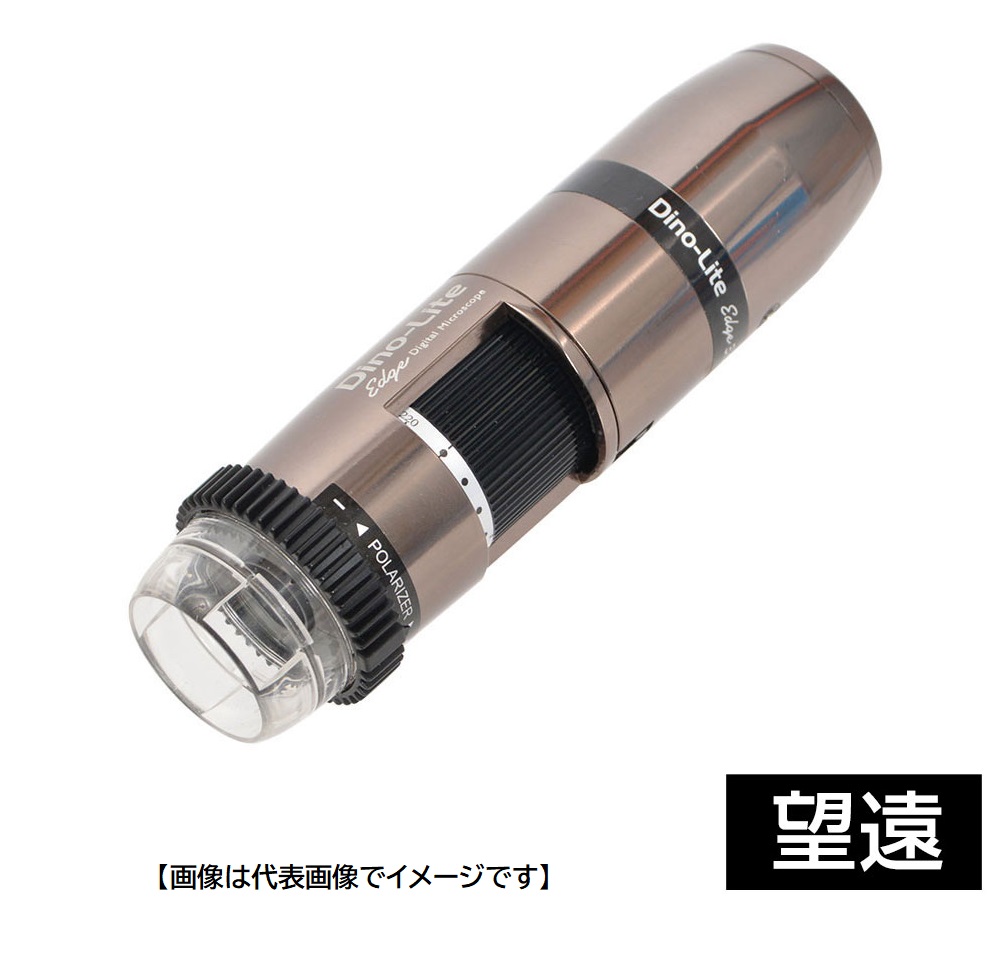 [圧倒的人気 ] MYASL1Y7B66 (MYASL1Y7B66)
