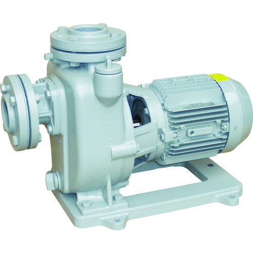 (大型) 寺田ポンプ MPJ3-50.71E 50HZ セルプラポンプ 全閉外扇屋外形電動機付 50Hz 0.75kW 全揚程14m