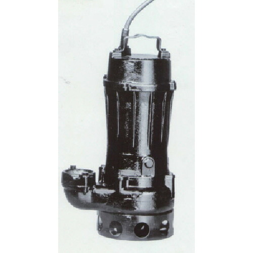 (大型) 寺田ポンプ TCN4-607 60HZ 汚物用水中ポンプ 0.75kw 全揚程7.5m 60Hz