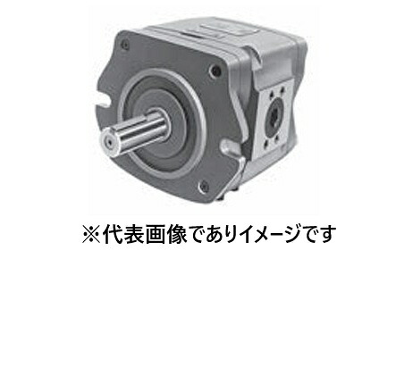 NACHI IPH-4A-32-20 ギヤポンプ|ハカルドットコム 店