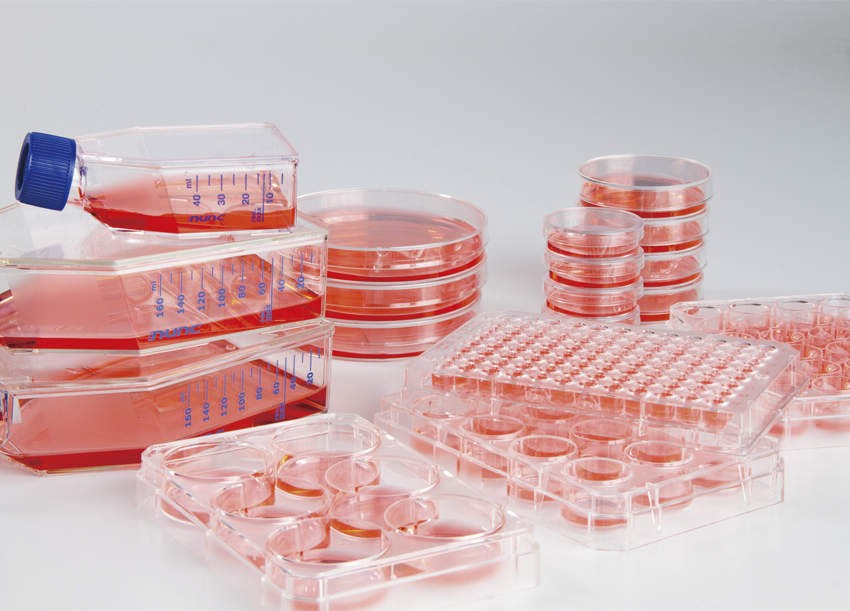 Thermo Fisher Scient Nunclon Sphera マルチディッシュ 174930 7入 花・ガーデン・DIY-容器・試験管