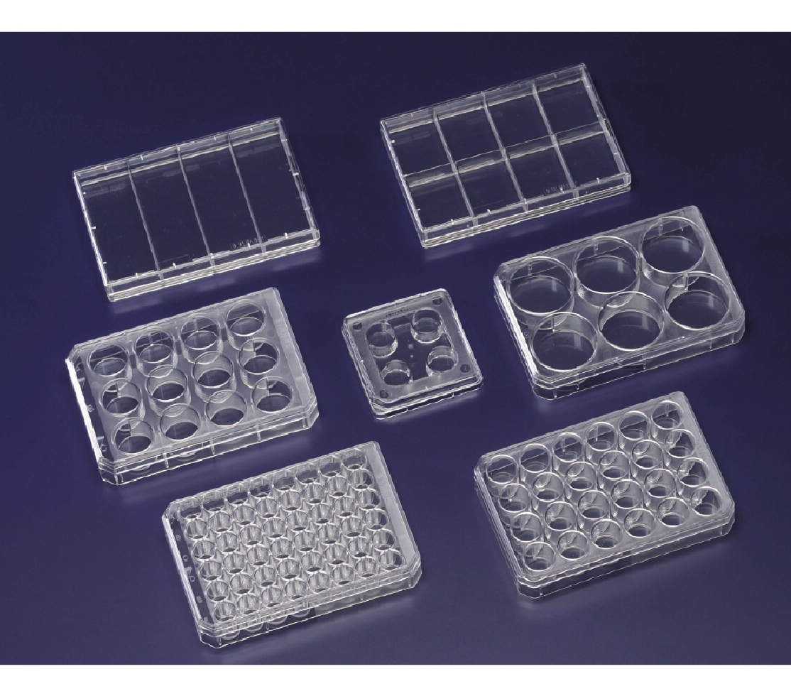 Thermo Fisher Scient ヌンク マルチディッシュ 6ウェル No.150239 75入