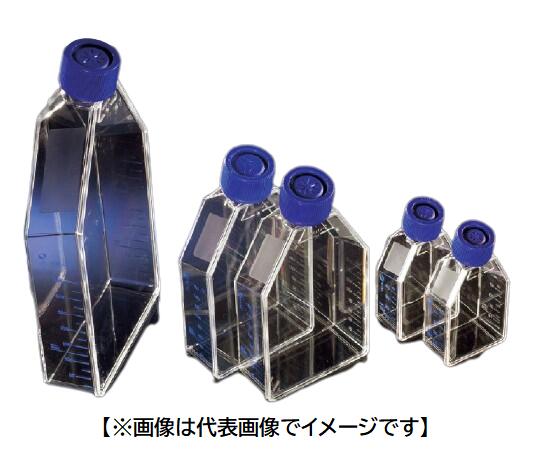 Thermo Fisher Scient ヌンク イージーフラスコ No.156340 200入｜ハカルドットコム 店