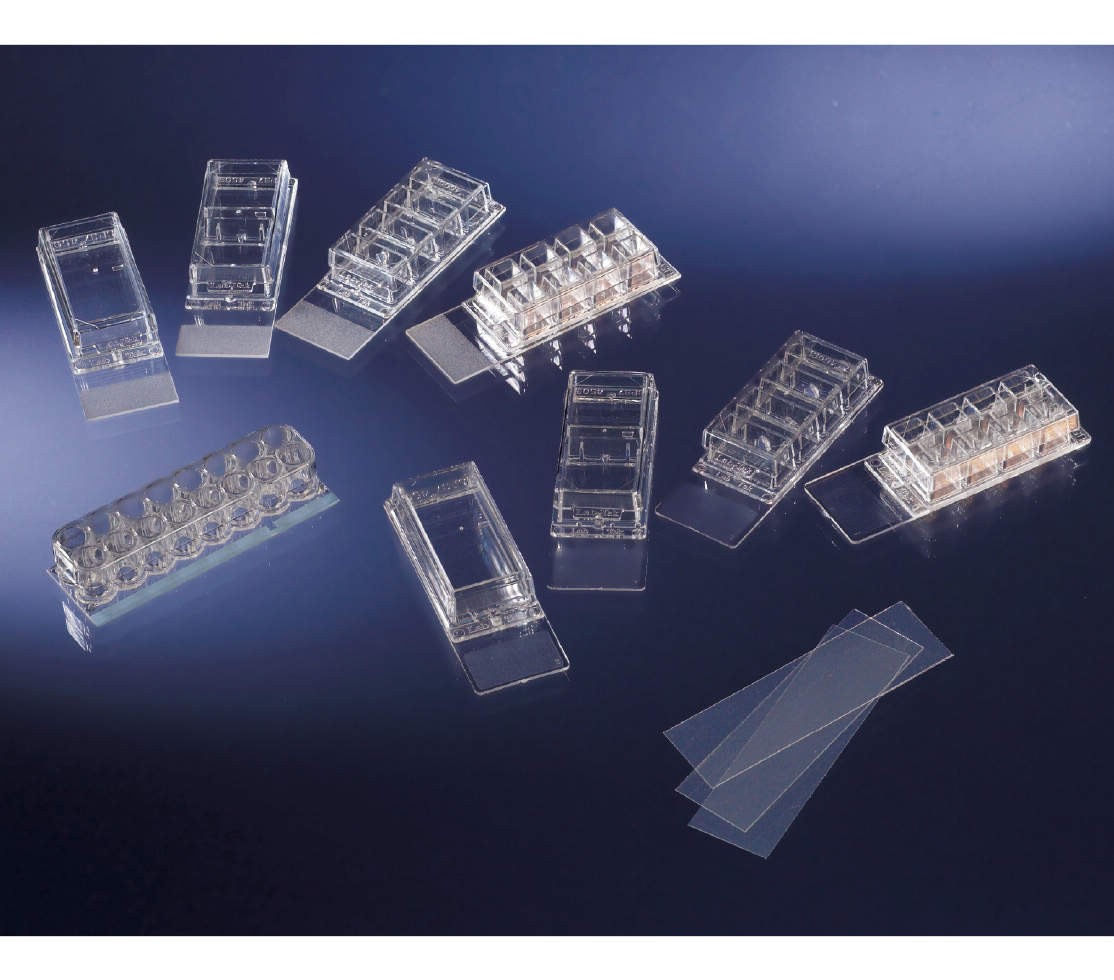 Thermo Fisher Scient ヌンク No.177372 16入 チェンバースライドシステム