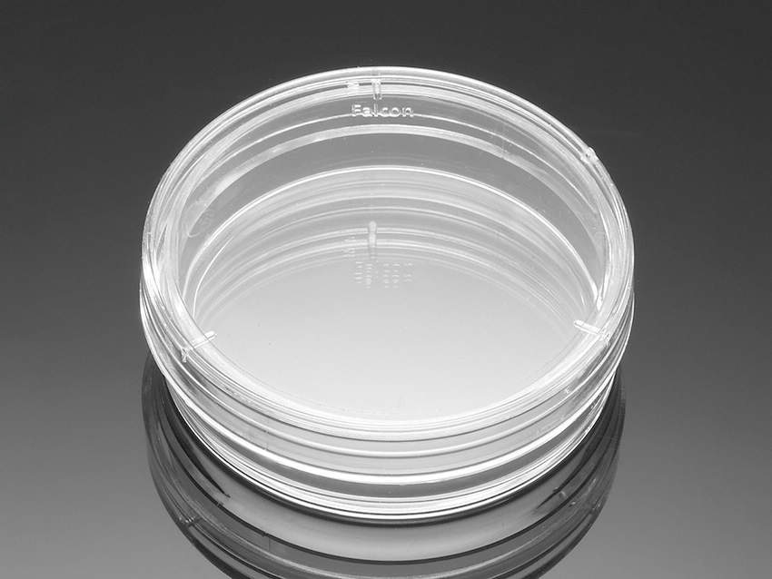 FALCON 351008 500入 微生物用ペトリディッシュ 35×10 イージーグリップディッシュ|ハカルドットコム 店