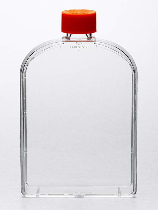 CORNING No.431080 細胞培養フラスコ 50入 培養面積\u003d175cm2 ベント アングル