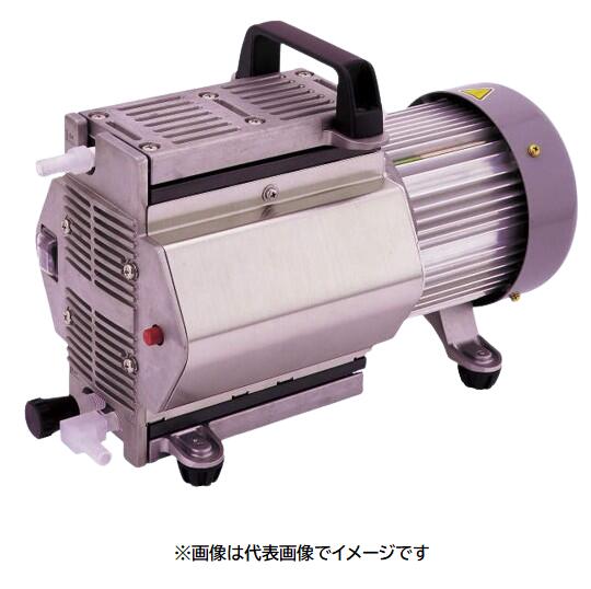 アルうしろ側 DTU-20 ダイアフラム式素っ気ない無意味さ揚水機