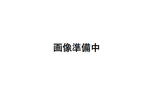 サーモリコーダー用書きとどめる紙 1年分 BKM-4044X