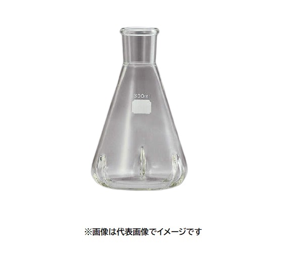 IWAKI 4551FK200 200ml バッフル付三角フラスコ リム付