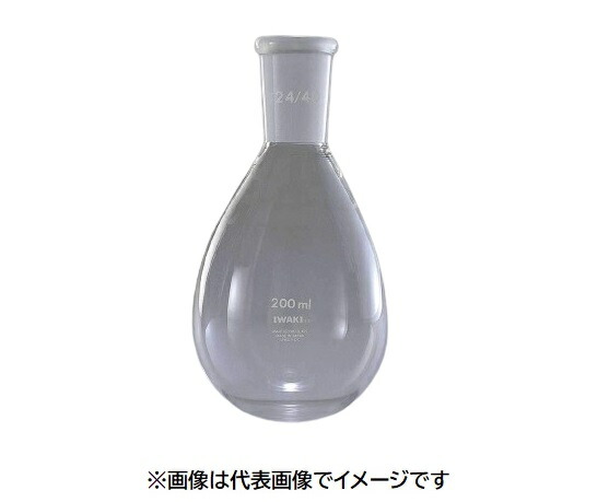 IWAKI 共通摺合せナス型フラスコ NASUGJ-FK300-19