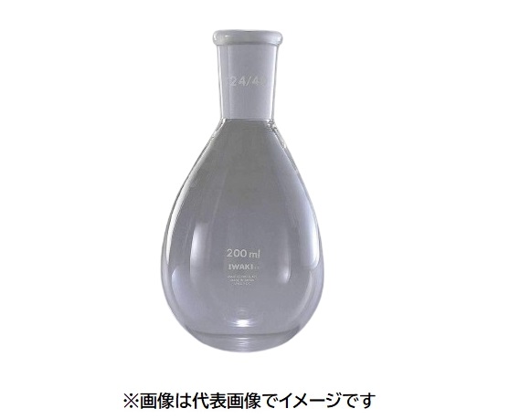 IWAKI 共通摺合せナス型フラスコ NASUGJ-FK300-24｜ハカルドットコム 店