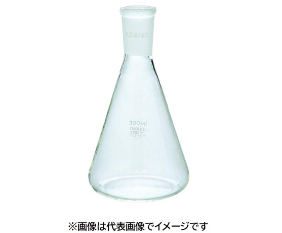 IWAKI 5000FK100-24 共通摺合せ三角フラスコ