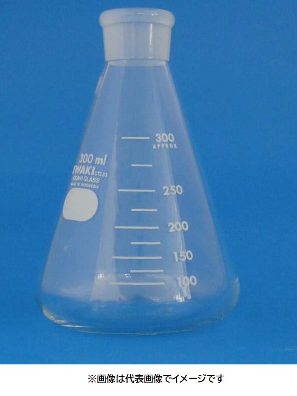 IWAKI 共栓三角フラスコ 本体のみ 5020FK-BONLY2000｜ハカルドットコム 店 8,201円