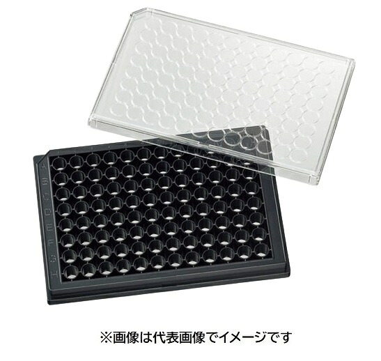 松浪 ガラスボトムプレート GP96003 10入｜ハカルドットコム 店 38,610円