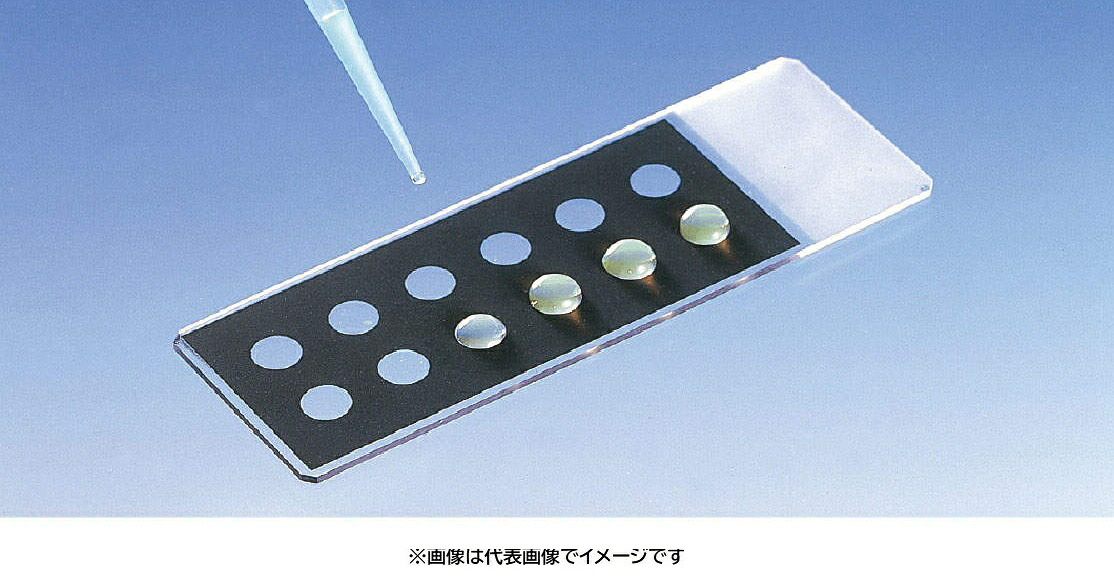 松浪 TF1006 100入 撥水性印刷スライドグラス 黒色｜ハカルドットコム 店 10,230円