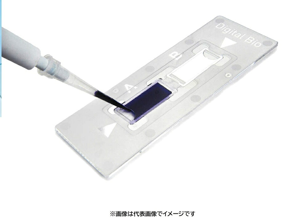 ディスポ細胞計算板C-CHIP DHC-B02 50枚入