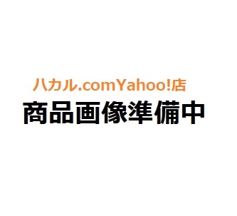 見込み理化学 P-10FG 煙道屁っ放り位置づける仕かける