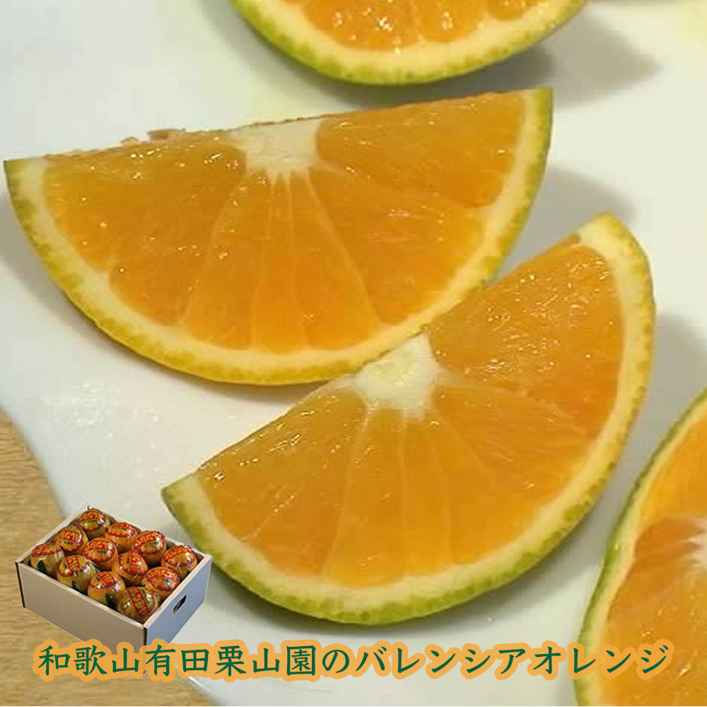 楽天市場】バレンシアオレンジ M/ Lサイズ 2kg めずらしい国産