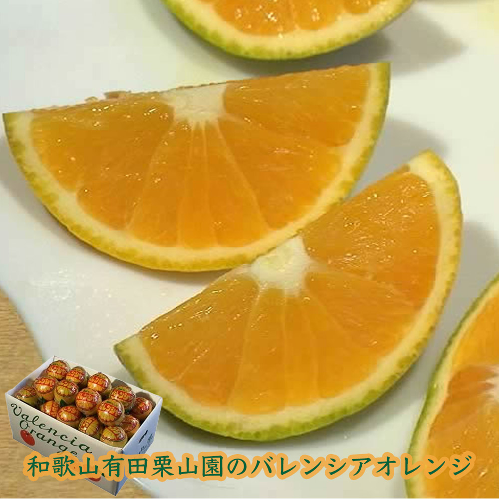 楽天市場】バレンシアオレンジ M/ Lサイズ 2kg めずらしい国産