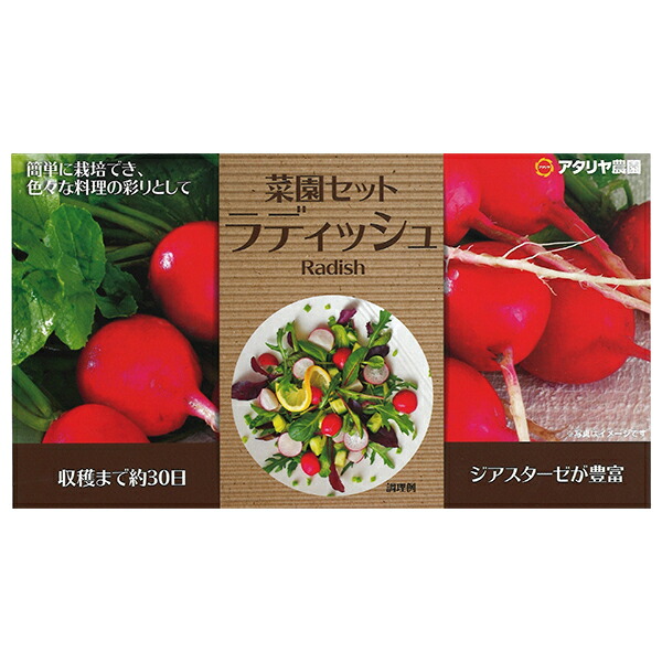 アタリヤ農園 野菜種 栽培セット ラディッシュ