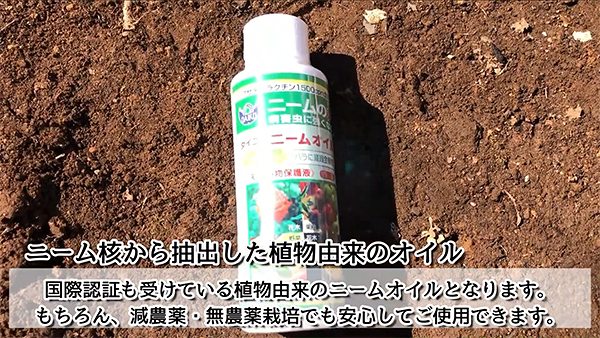 最大83％オフ！ 農業用品販売のプラスワイズ4本 ダイコー ニームオイル 5L ×4本 葉面散布 大興貿易 代引不可