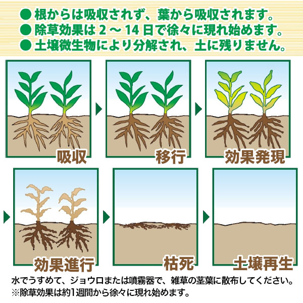 ハート除草剤グリホエースPRO1L×12本ケース販売