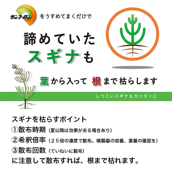 新しく着き まとめ買い 2本入 サンフーロン液剤 5L 大成農材 葉から入って根まで枯らす 除草剤 fucoa.cl