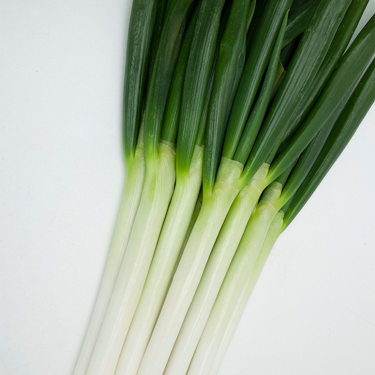 除草剤特集