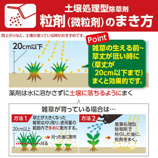 在庫限り レインボー薬品 除草剤 ネコソギエースv粒剤 3kg 6箱 ケース販売 A 代引き手数料無料 Munipacaran Gob Pe