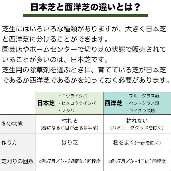 積み肥 ターフ サッチ 有機肥料 シバ溜込むpro芝のサッチ解剖剤 2 8kg 6個 容れもの扱う 虹医薬 Nestlan Com