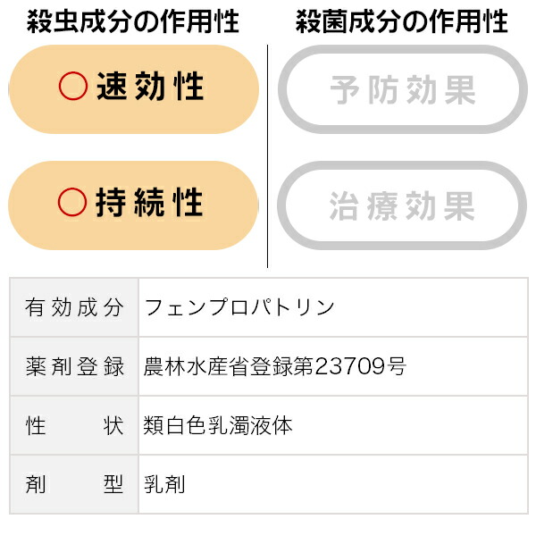 住友化学園芸 殺虫剤 ばらの害虫に速攻退治 マイローズ ベニカr乳剤 100ml 10本セット 送料無料 Ultranoticias Com Mx