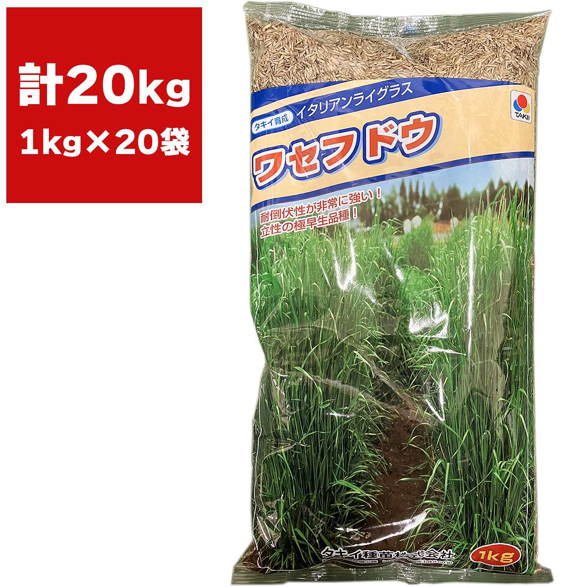 芝種 ワセフドウ 20kg (1kg×20袋) タキイ種苗 芝生の種 芝の種 芝 種 芝 種子 芝生 種 芝生 種子 牧草 種 牧草 種子 芝生 業務用 種子 芝 業務用 種|イーハナス店