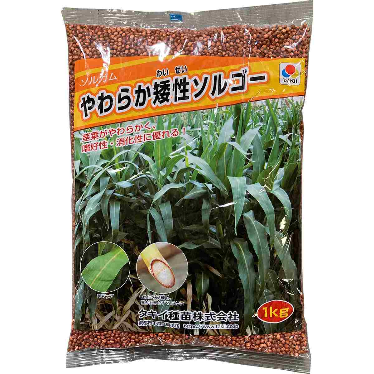 ソルガム やわらか矮性ソルゴー 5kg (1kg×5袋) タキイ種苗 タネのタキイ 緑肥 種子 ソルゴー 種 緑肥 種 ソルゴー 種子 緑肥の種 おとり植物 モロコシ 種