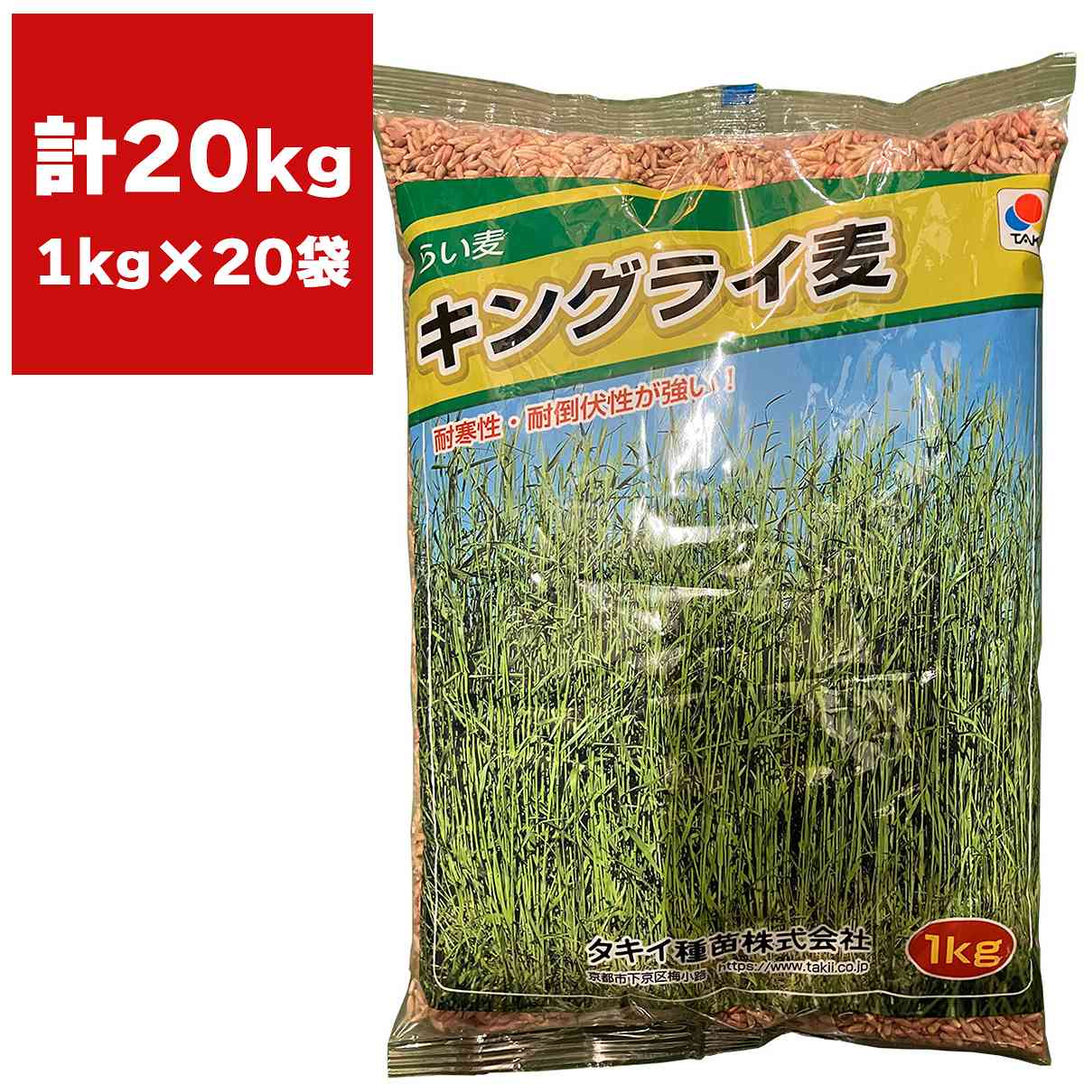 らい麦 キングライ麦 20kg (1kg×20袋) タキイ種苗 緑肥 種子 牧草 種子 ライ麦 種子 らい麦 早生 種子 緑肥の種 緑肥の種子 飼料 種 耐倒伏性 らい麦 種子